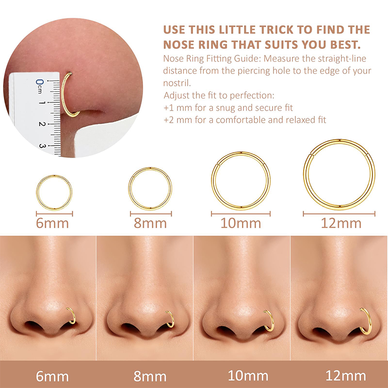 16G 316L Surgical Steel Hinged - Body Jewelry And Piercing ulasan dan harga