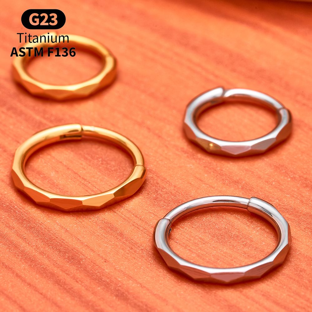 G23 Titanium Faceted CZ Hinged - Conch Earring Hoop ulasan dan harga