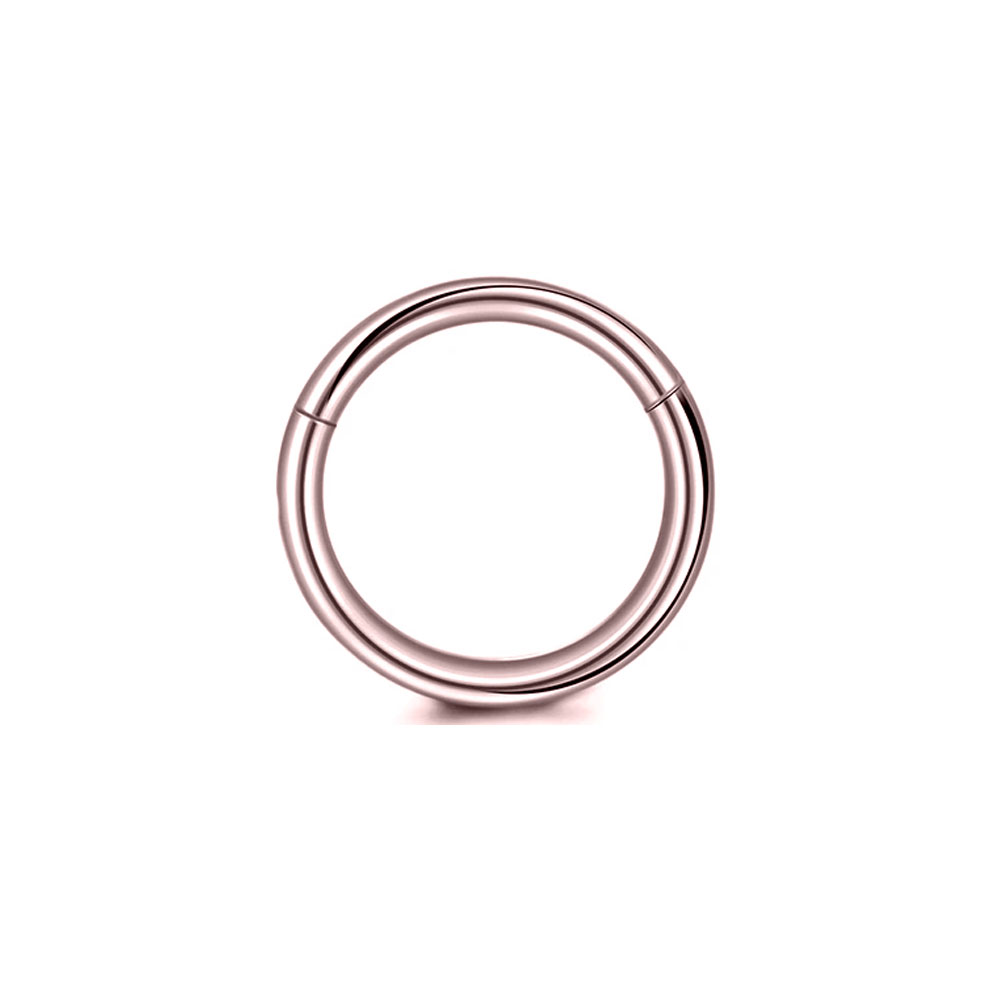 316L Surgical Steel Clicker Se - Conch Earring Hoop ulasan dan harga